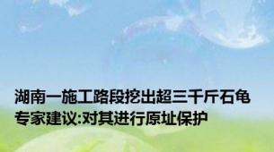 湖南一施工路段挖出超三千斤石龟 专家建议:对其进行原址保护