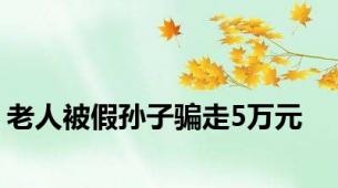 老人被假孙子骗走5万元