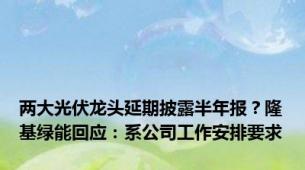 两大光伏龙头延期披露半年报？隆基绿能回应：系公司工作安排要求