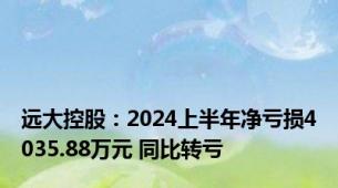 远大控股：2024上半年净亏损4035.88万元 同比转亏