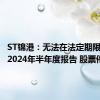 ST锦港：无法在法定期限内披露2024年半年度报告 股票停牌