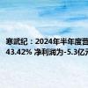 寒武纪：2024年半年度营收下降43.42% 净利润为-5.3亿元