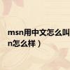 msn用中文怎么叫（msn怎么样）