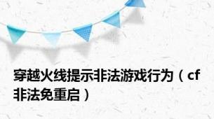 穿越火线提示非法游戏行为（cf非法免重启）