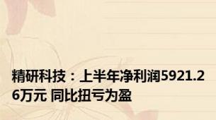 精研科技：上半年净利润5921.26万元 同比扭亏为盈