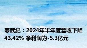 寒武纪：2024年半年度营收下降43.42% 净利润为-5.3亿元