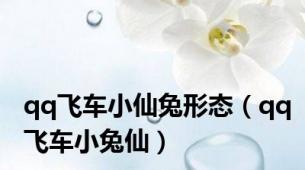 qq飞车小仙兔形态（qq飞车小兔仙）