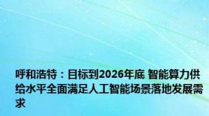 呼和浩特：目标到2026年底 智能算力供给水平全面满足人工智能场景落地发展需求