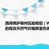 西得克萨斯州瓦哈枢纽（Waha）的现货天然气价格跌至负值区间