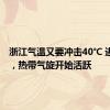 浙江气温又要冲击40℃ 进入9月，热带气旋开始活跃