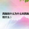 西施姓什么为什么叫西施（西施姓什么）