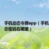 手机动态令牌app（手机令牌动态密码在哪里）