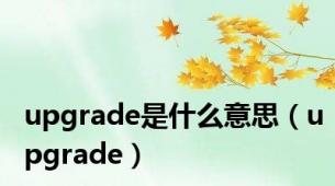 upgrade是什么意思（upgrade）