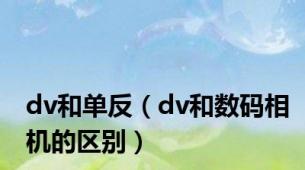 dv和单反（dv和数码相机的区别）