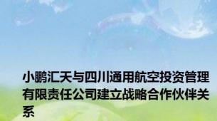 小鹏汇天与四川通用航空投资管理有限责任公司建立战略合作伙伴关系