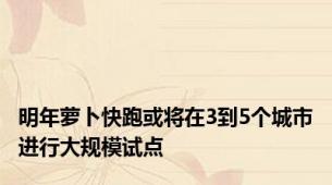 明年萝卜快跑或将在3到5个城市进行大规模试点