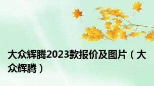 大众辉腾2023款报价及图片（大众辉腾）