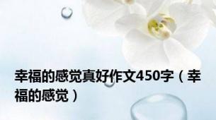 幸福的感觉真好作文450字（幸福的感觉）