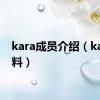 kara成员介绍（kara资料）