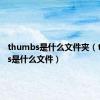 thumbs是什么文件夹（thumbs是什么文件）