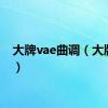 大牌vae曲调（大牌vae）