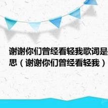 谢谢你们曾经看轻我歌词是什么意思（谢谢你们曾经看轻我）