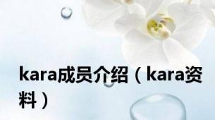 kara成员介绍（kara资料）