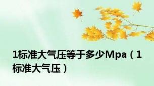 1标准大气压等于多少Mpa（1标准大气压）