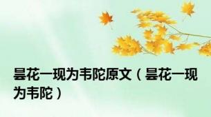 昙花一现为韦陀原文（昙花一现为韦陀）