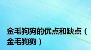 金毛狗狗的优点和缺点（金毛狗狗）