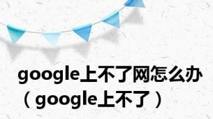 google上不了网怎么办（google上不了）