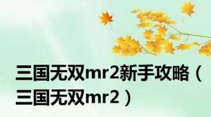 三国无双mr2新手攻略（三国无双mr2）