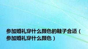 参加婚礼穿什么颜色的鞋子合适（参加婚礼穿什么颜色）