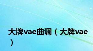 大牌vae曲调（大牌vae）