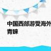 中国西部游受海外游客青睐