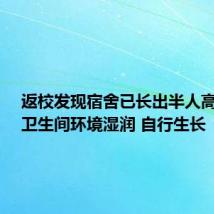 返校发现宿舍已长出半人高的草：卫生间环境湿润 自行生长