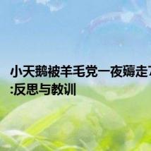 小天鹅被羊毛党一夜薅走7000万:反思与教训