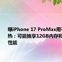 曝iPhone 17 ProMax用石墨烯散热：可能独享12GB内存和增强AI性能