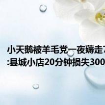 小天鹅被羊毛党一夜薅走7000万:县城小店20分钟损失3000万