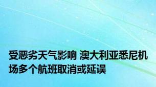 受恶劣天气影响 澳大利亚悉尼机场多个航班取消或延误