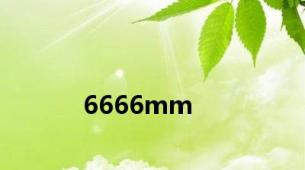 6666mm