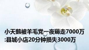 小天鹅被羊毛党一夜薅走7000万:县城小店20分钟损失3000万