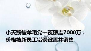 小天鹅被羊毛党一夜薅走7000万：价格被新员工错误设置并销售