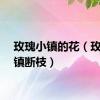 玫瑰小镇的花（玫瑰小镇断枝）