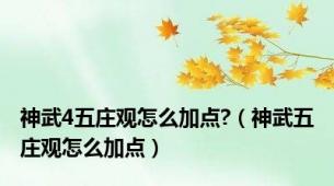 神武4五庄观怎么加点?（神武五庄观怎么加点）