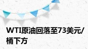 WTI原油回落至73美元/桶下方