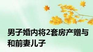 男子婚内将2套房产赠与和前妻儿子