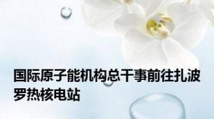 国际原子能机构总干事前往扎波罗热核电站