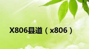 X806县道（x806）