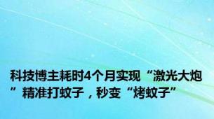 科技博主耗时4个月实现“激光大炮”精准打蚊子，秒变“烤蚊子”